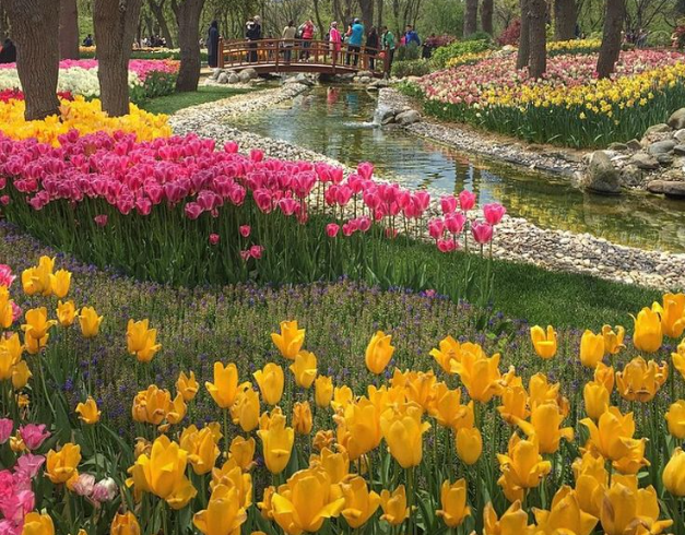 tour-turki-2026-10d-turkey-tulip-festival