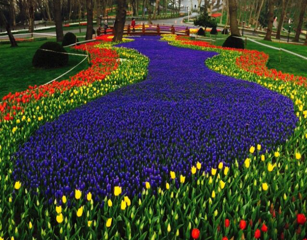 tour-turkey-10d-2026-istanbul-tulip-emirgan-park