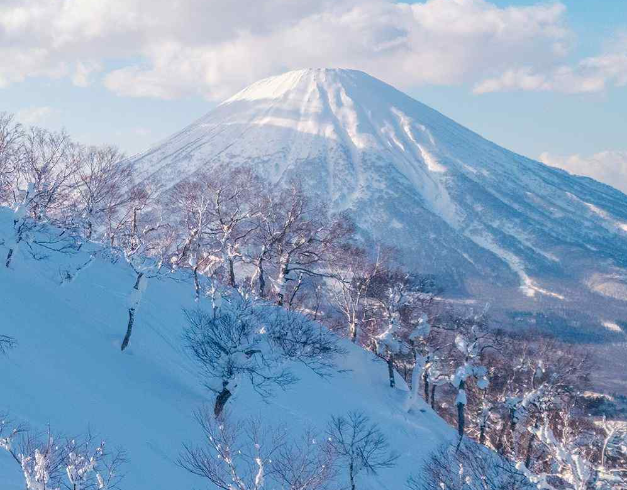 tour-japan-8d-year-end-frozen-hokkaido-disneyland