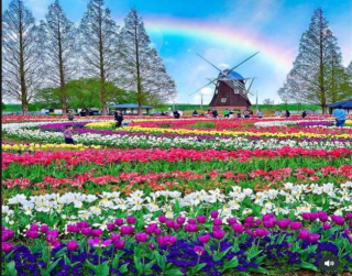 Tour Thailand 4D Bangkok + Khao Yai