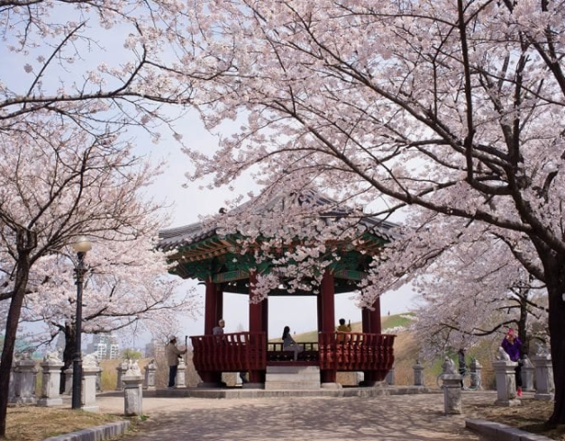 promo - tour - murah - korea 