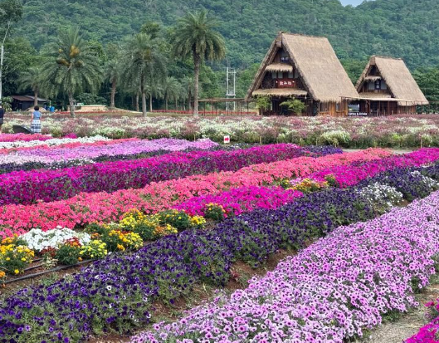 tour-thailand-5d-2026-special-lebaran-sale-bangkok-khao-yai