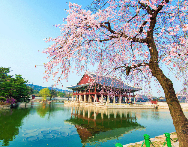 promo - tour - korea - murah - cuma - di - callista - tour 