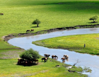 Tour China 2026 9D Inner Mongolia Muslim