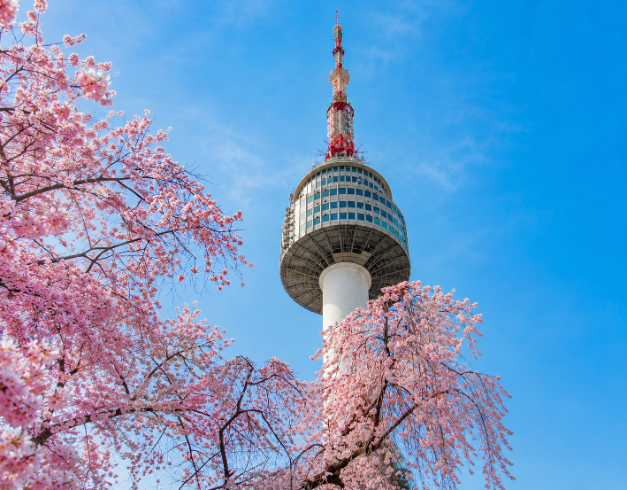 tour-6d-best-saver-seoul-tour