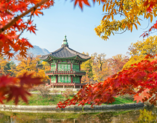 Tour Korea 2025 7D Fantastic Autumn Korea + Jeju Island