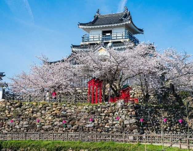 tour-japan-8d-2025-golden-route-nara-by-tr