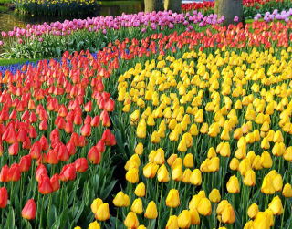 Tour West Europe 9D 2026 Amazing Lebaran + Kuekenhof Tulip