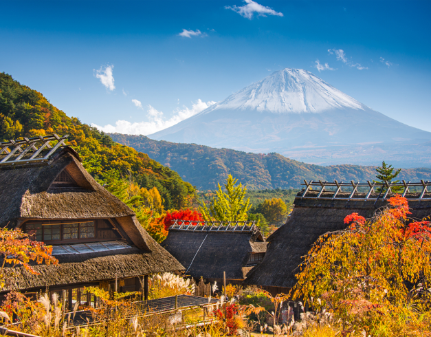 paket tour murah jepang