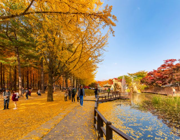 pakettourmurahkorea,liburanmurahkorea,promokorea