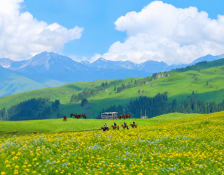 Tour 11D China Silk Road + Xinjiang Free Camel Ride