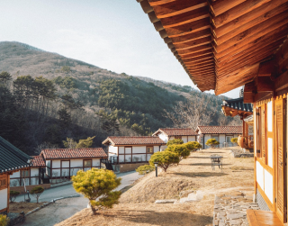Tour Korea 6D Amazing Crazy Spring Korea