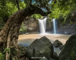 4D3N Bangkok Pattaya + Nongnooch Village by AirAsia (Now - Mar 2024)