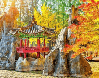 Tour Korea 6D 2026 Shocking Sale Nami + Seoul