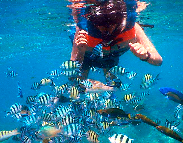 promo - tour - murah - Pulau - pari