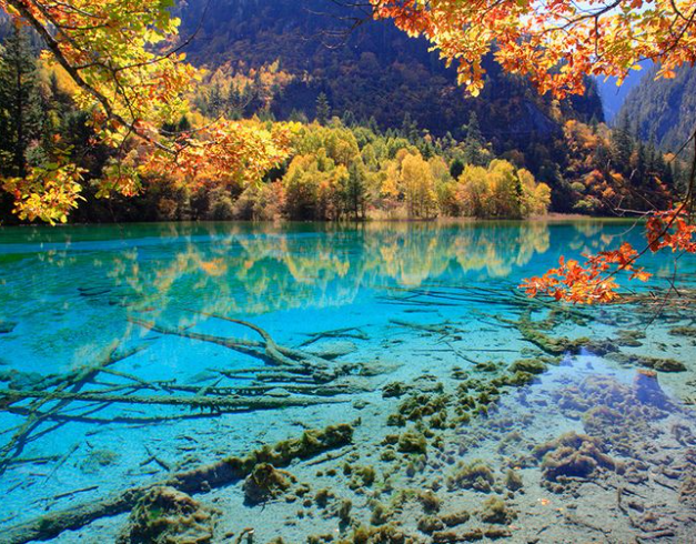 tour-china-2026-8d-super-saver-chongqing-chengdu-jiuzhaiguo