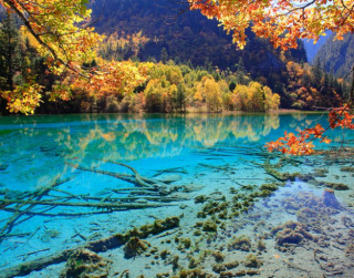 Tour China 2026 8D Super Saver Chongqing - Chengdu - Jiuzhaiguo