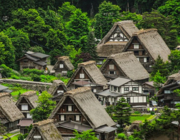 tour-japan-7d-2026-school-holiday-escape-disneyland