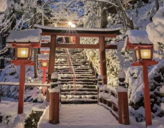 Tour Japan 8D Golden Route New Year Edition