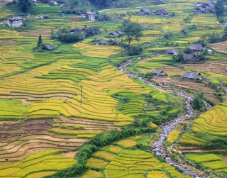 Tour Vietnam 6D 2025 Sapa Fansipan Rongmay
