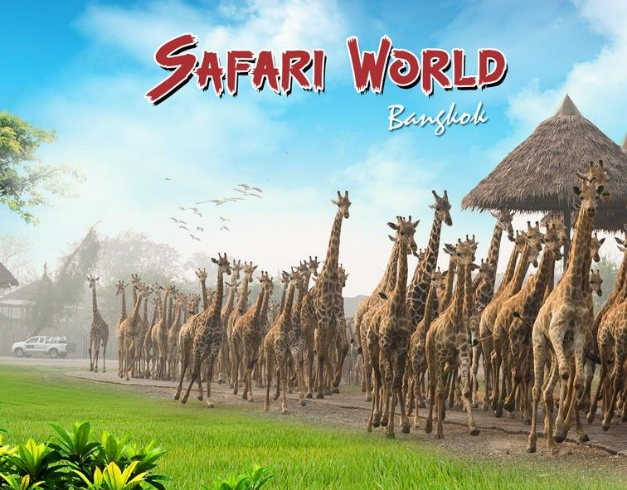 jalanjalanmurahkethailand,jalanjalanmurahkebangkoksafarimarine