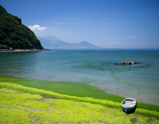 tour-jepang-2025-7d-year-end-holiday-japan-kyushu
