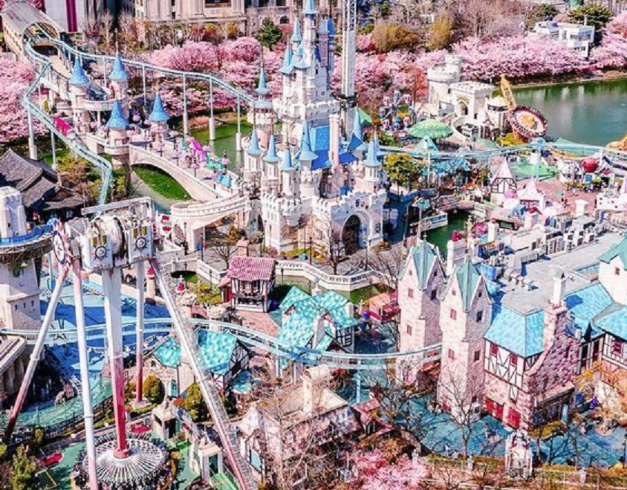 tour-korea-6d-2025-nami-island-seoul-city-tour