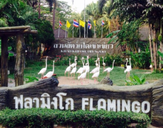 Tour Thailand 2026 4D Bangkok Safari Marine Park 