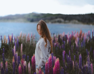 7D Spring New Zealand Lupin Season