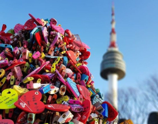 Tour Korea 2026 5D Halal Nami Island + Sky Glass Bridge