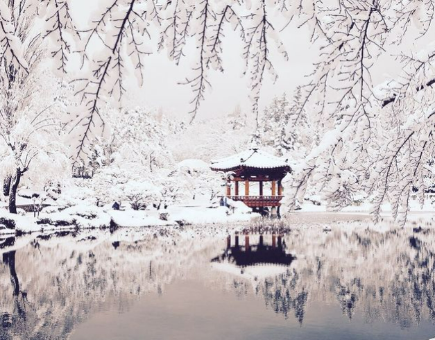 tour-korea-2025-new-year-exciting-winter-korea-7d-with-everland