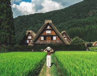 Tour Jepang 2026 7D Japan Super Sale Golden Route + Shirakawago