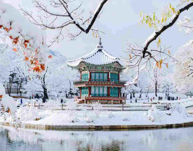 tour-korea-7d-winter-new-year-busan-seoul