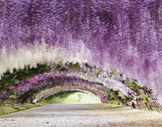 7d-winter-escape-fukuoka-jewel-changi