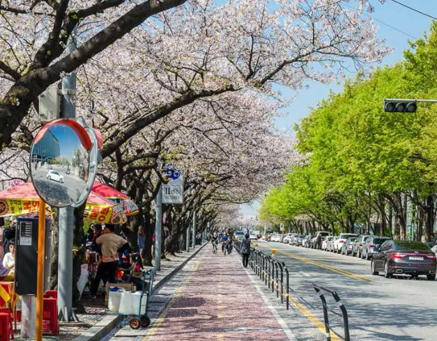 tour-korea-2025-7d-special-school-holiday-with-lotte-theme-park