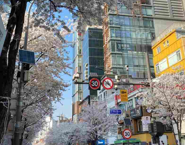 tour-korea-private-land-tour-3-can-go-best-seoul-nami-island