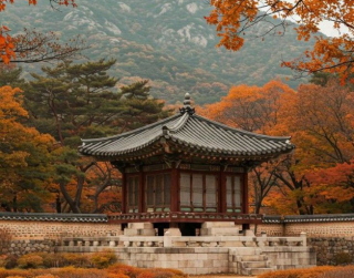 Paket Tour Korea 6D Nami + Brunei By Royal Brunei 2025