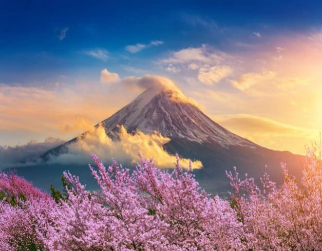 tour-jepang-private