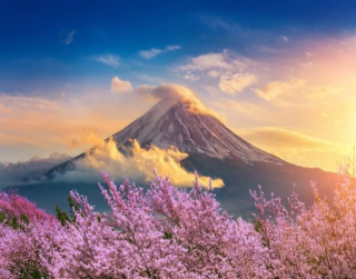 Private Tour 6 Can Go 6D5N Golden Route Osaka Kyoto Shirakawago Takayama Tokyo Mt Fuji