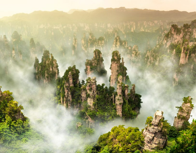 8D6NCONSORTIUMZHANGJIAJIEPHOENIXTOWN+XIAMENONAPRILMAY,JUNE2023(wh01)