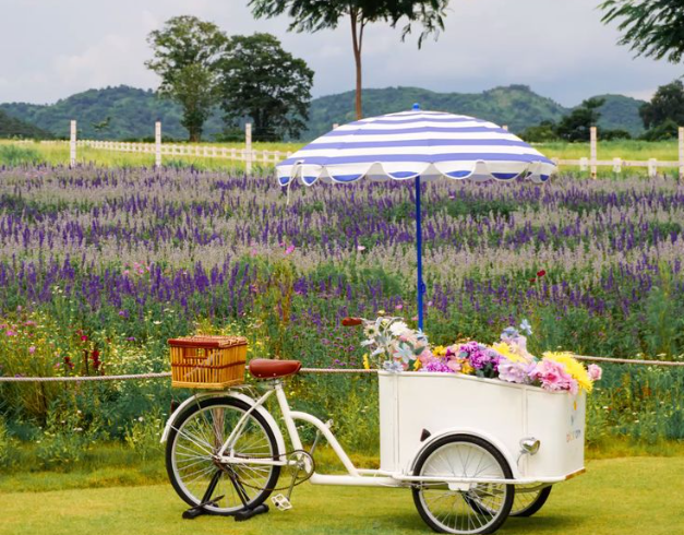 tour-thailand-5d-2025-bangkok-pattaya-khao-yai-christmas