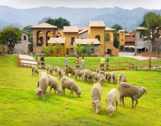 One Day Trip Khao Yai SIC Thailand (tour Gabungan)