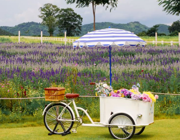 paket tour Lebaran Thailand 2025,liburan Bangkok Pattaya Khao Yai,tour Thailand 5D4N Callista Tour,wisata keluarga Thailand Lebaran,paket liburan Khao Yai Thailand,itinerary Bangkok Pattaya Khao Yai,paket wisata Lebaran ke Thailand,5D4N tour Bangkok Patta