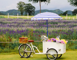 Tour Thailand 2026 5D Premium Lebaran Bangkok - Pattaya + Khao Yai