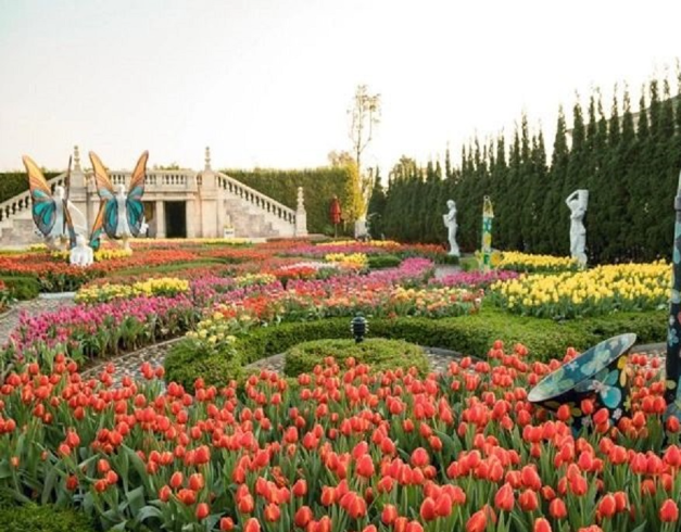 tour-vietnam-4d-2025-best-deal-da-nang-4-can-go