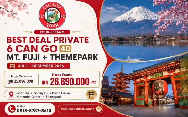 Best Deal Private 6 Can Go 4D Mt.fuji + Disneyland/disneysea