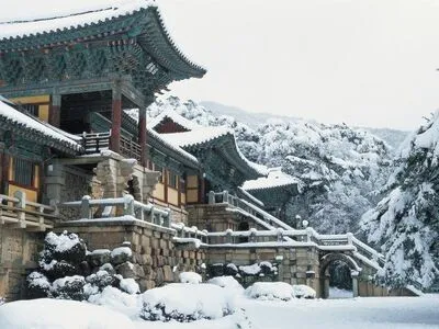 Paket Wisata Korea