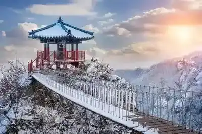 Tour Korea 2 Can Go