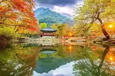 Tour Korea