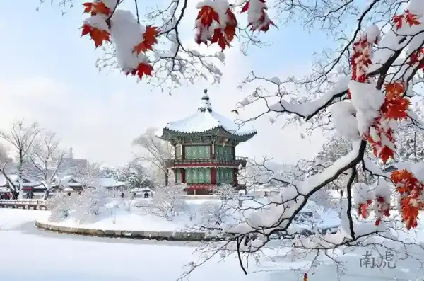 Tour Korea Musim Dingin 2026/2027